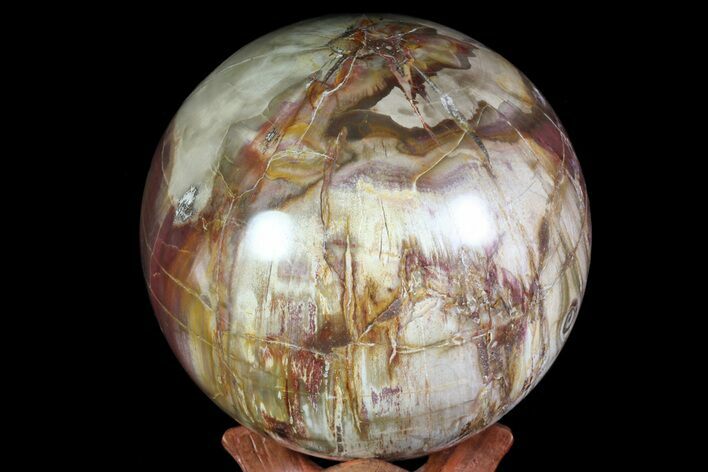 Bargain, Colorful Petrified Wood Sphere - Madagascar #71431